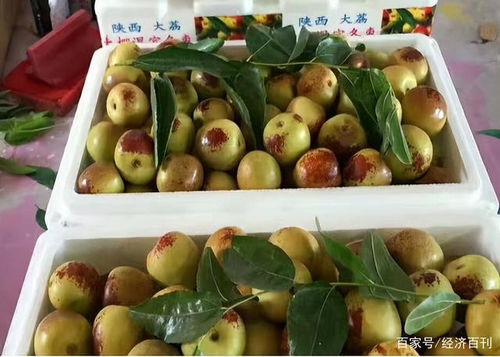 新冠肺炎疫情對水果價(jià)格的影響及應(yīng)對措施