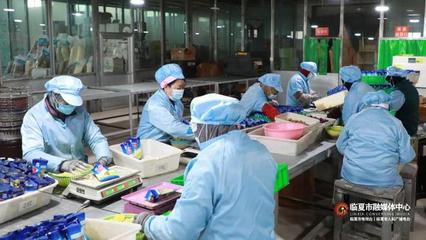 春節(jié)將至訂單增 臨夏市鄉(xiāng)村就業(yè)工廠奮力沖刺“開門紅”